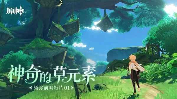 原神须弥版本即将到来：新地区、新角色与草元素反应让人期待