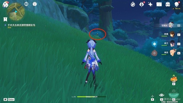 与珍惜之鸟的短暂邂逅任务攻略