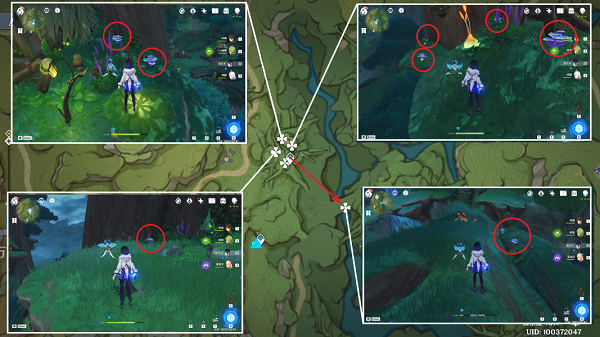 原神树王圣体菇怎么找:位置与采集路线全解析