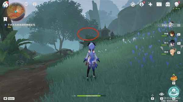 与珍惜之鸟的短暂邂逅任务攻略