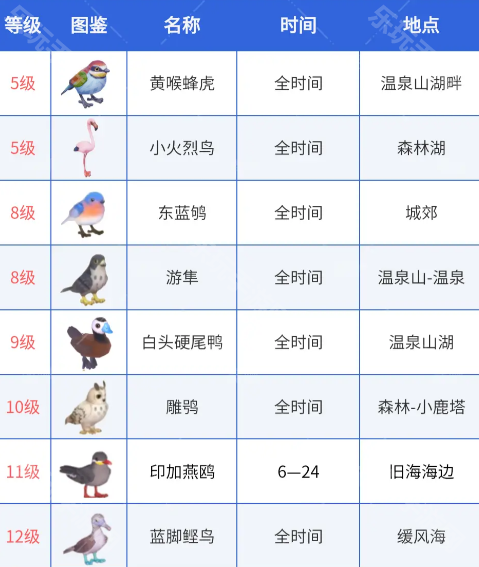 心动小镇雨天游玩攻略：告别无聊，解锁雨天限定惊喜