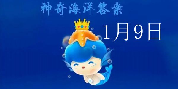 招潮蟹变色与生物钟：揭秘螃蟹的昼夜色彩变化