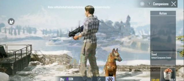 和平精英SS6新宠物狗：萌系德牧登场，专属动作超可爱