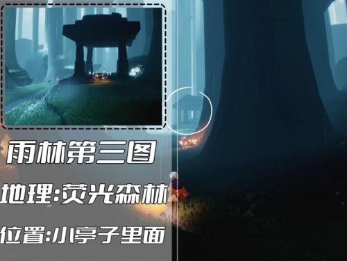 光遇雨林冥想点全图鉴：详细位置与地图攻略