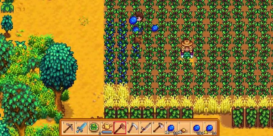 星露谷物语夏天种植策略：如何实现最大化收益