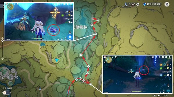 原神树王圣体菇怎么找:位置与采集路线全解析