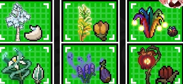 元气骑士传说种子获取全攻略