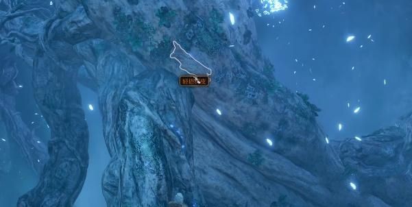 博德之门3轻语树皮获取攻略：详细步骤与注意事项