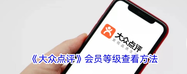 大众点评V几怎么看?简单几步搞定
