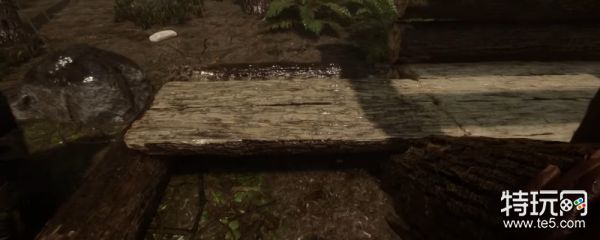 《森林之子》割肉攻略：掌握正确方法，避免肉变味