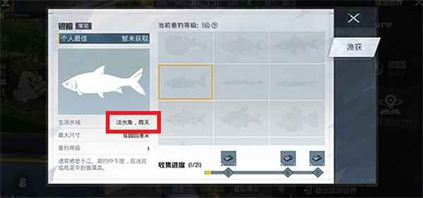 和平精英绿洲世界下雨全解析：随机性、触发技巧与雨天专属福利