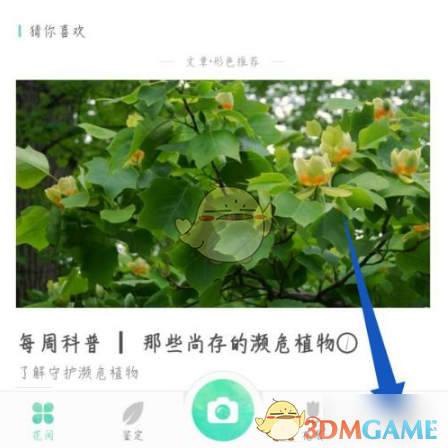 形色APP改名字全攻略