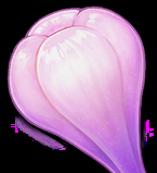 原神玩家必看：天云草实获取全攻略