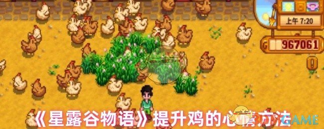 星露谷物语怎么让鸡心情变好