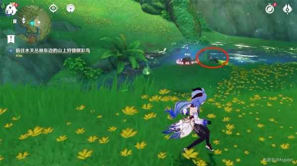 与珍惜之鸟的短暂邂逅任务攻略