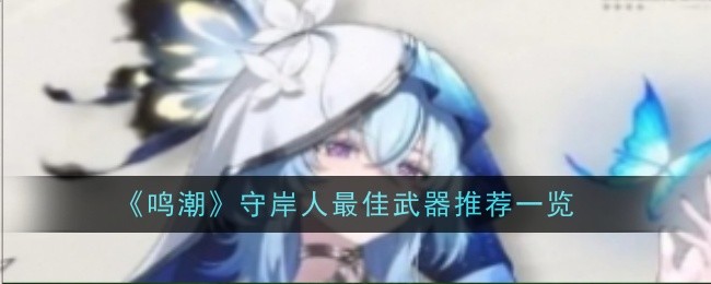 《鸣潮》守岸人最佳武器推荐：星序协响详解与选择指南