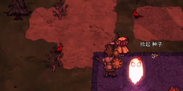 《饥荒新家园》布置攻略：打造舒适与美观的生存避风港