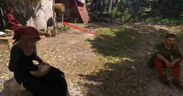 天国拯救2爱自由与荣耀任务全流程详解:从接受任务到最终胜利