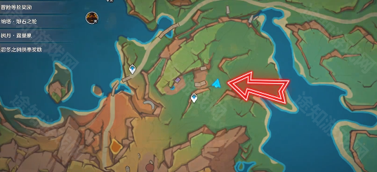 原神5.5安饶之野8只小龙位置全攻略