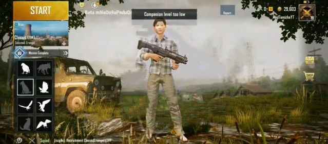 和平精英SS6新宠物狗：萌系德牧登场，专属动作超可爱