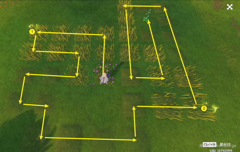 原神水天供书森林苗圃寻找攻略