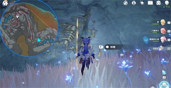 原神古代生物调查化石拍照全攻略：五个地点详解