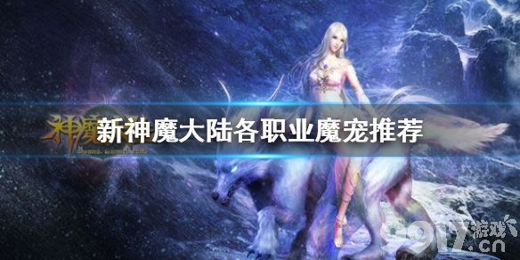新神魔大陆魔宠怎么选？各职业宠物推荐全解析