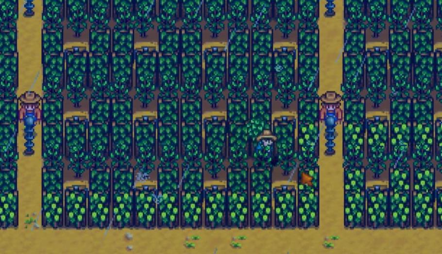 星露谷物语夏天种植策略：如何实现最大化收益
