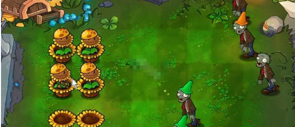 《植物大战僵尸杂交版》挑战模式第54关通关攻略：阳光收集与植物布局策略