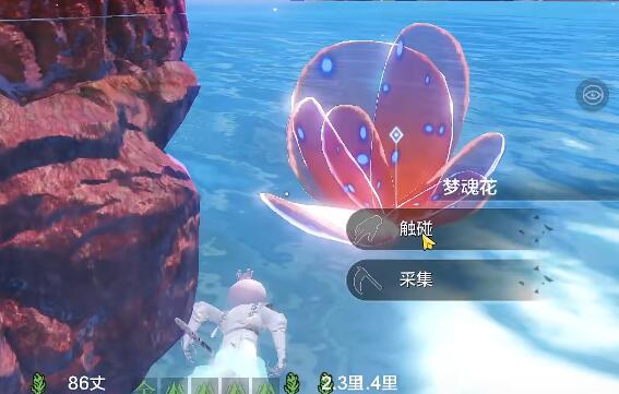 妄想山海南海经任务攻略：轻松完成获取奖励
