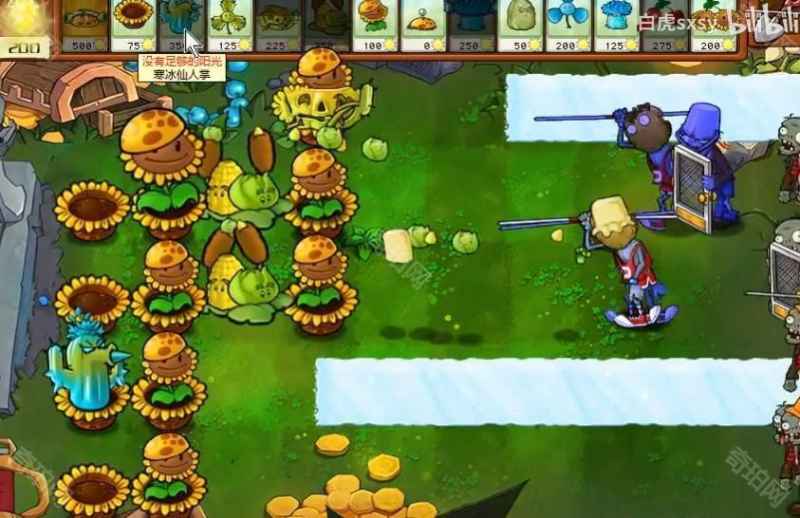 《植物大战僵尸杂交版》挑战模式第22关通关秘籍：图文详解与核心技巧