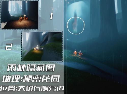 光遇雨林冥想点全图鉴：详细位置与地图攻略