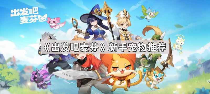 出发吧麦芬新手宠物选择指南：推荐与技巧