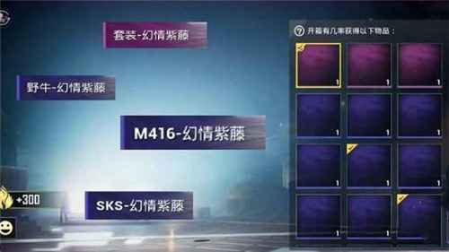 和平精英幻情紫藤皮肤价格分析：全套约2500元，单枪约128元