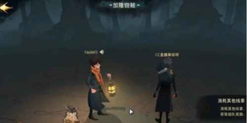 哈利波特魔法觉醒双人剑宗哈利打法全解析