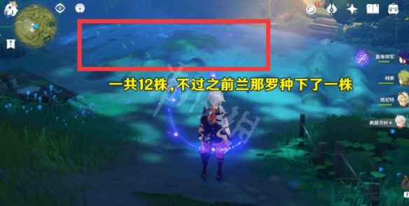 恒斯弥利收集任务后续步骤详解