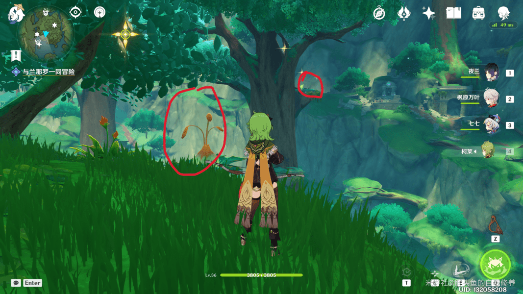 原神3.0善间地草神瞳全图鉴：21个位置详解与寻觅攻略