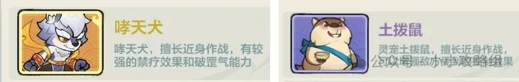 小小英雄新宠物与青侠踏春活动全解析
