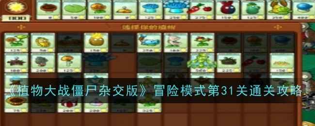 《植物大战僵尸杂交版》第三十一关通关攻略：解锁阳光南瓜掌全解析