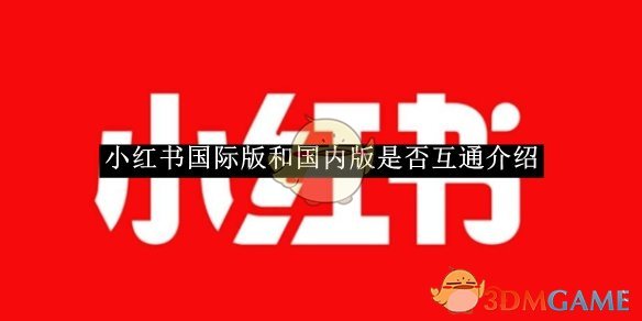 小红书国际版与国内版：独立平台，内容各异，如何选择？