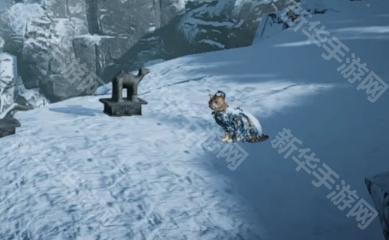 《燕云十六声》武威山妙妙喵位置全攻略