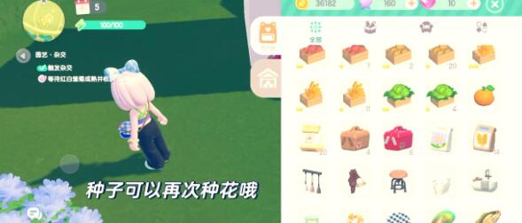 心动小镇手游雏菊杂交全攻略：从基础到进阶的完整指南