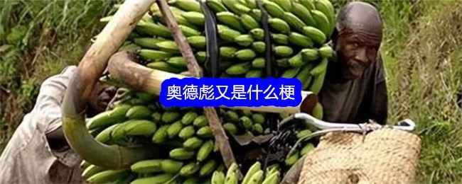 奥德彪：从非洲运香蕉小哥到网络魔性梗的走红历程