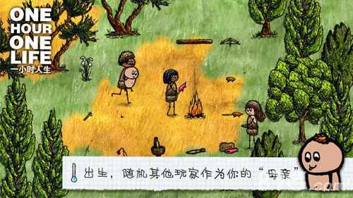 婴儿开局与成人开局的利弊分析
