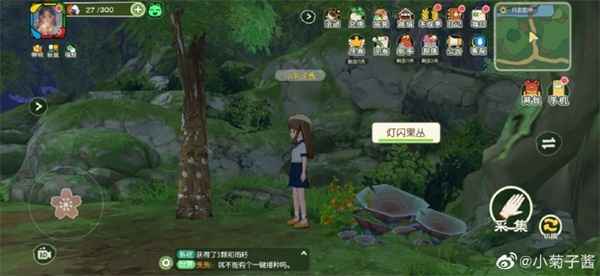 小森生活灯闪果怎么弄到手？—— 从和雨籽丛中获取的实用方法