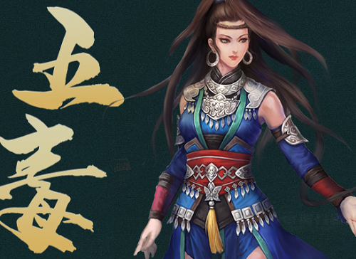 五毒秘籍搭配心得分享：打造你的专属毒术流派