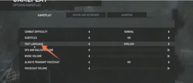 古墓丽影9中文开启指南：简单几步搞定语言设置