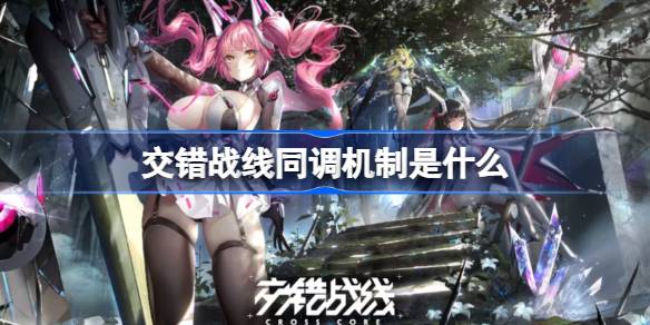 交错战线同调机制全解析