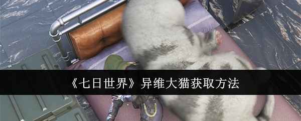 七日世界如何捕捉异维大猫：详细获取指南