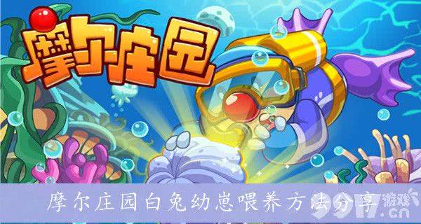 摩尔庄园白兔幼崽的简单喂养攻略：新手也能轻松掌握